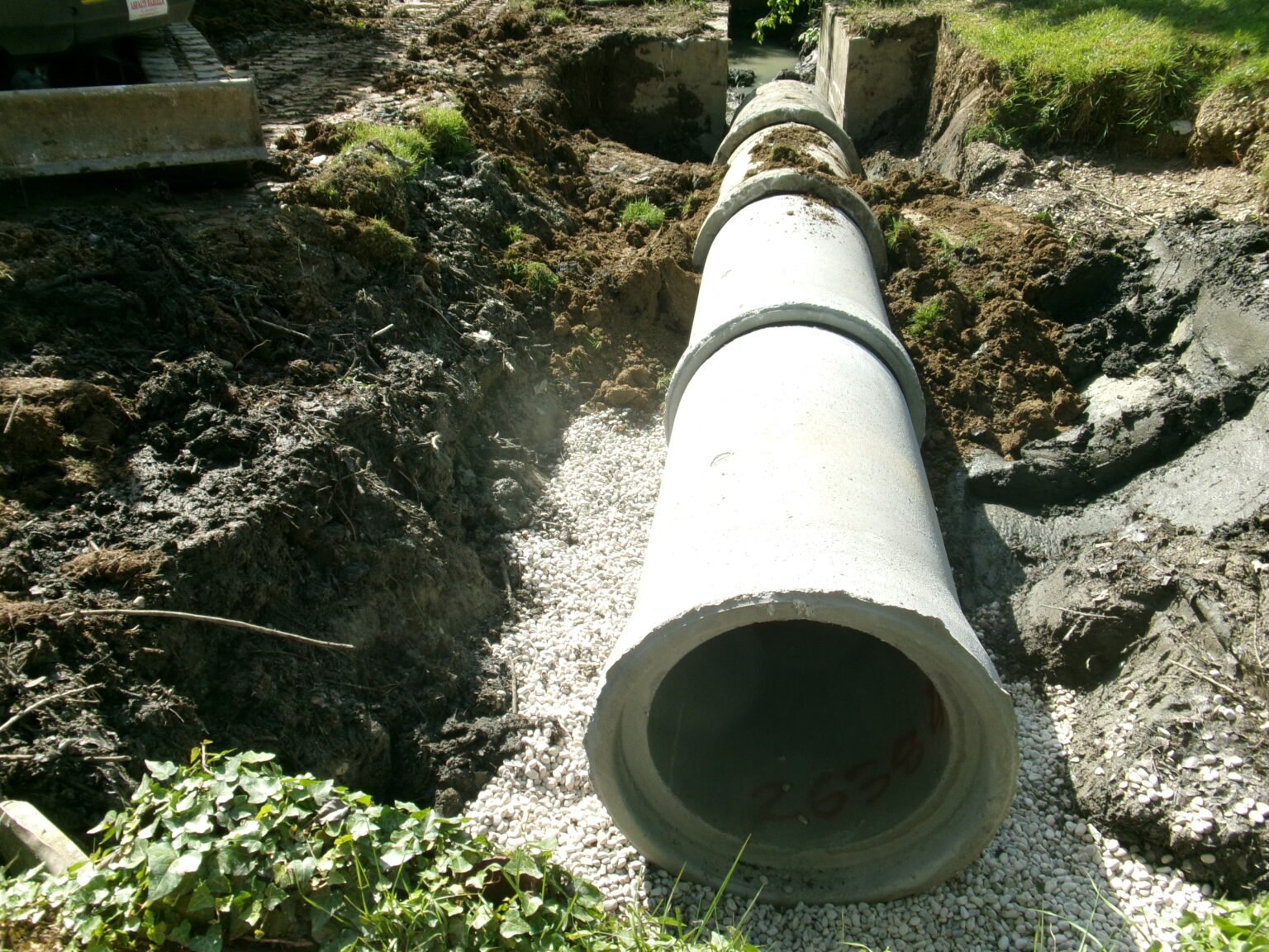 KODAK Digital Still Camera